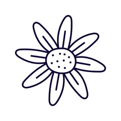 Floral Doodle Clipart