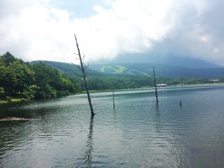 湖の見える景色