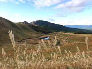 曽爾高原のススキの景色