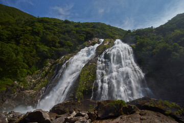 世界遺産の屋久島、大川の滝 （オオコノタキ）屋久島の滝では水量規模とも最大規模を誇り、「日本の滝百選」にも選ばれている、島内一の高さを誇る88メートルの断崖から、豪快な水しぶきをあげて滑り落ちる様はダイナミックで、その水量に圧倒されるようです。