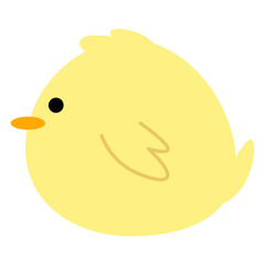 Cute Little Chick