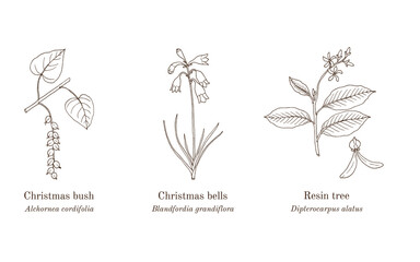 Collection of ornamental and medicinal plants.