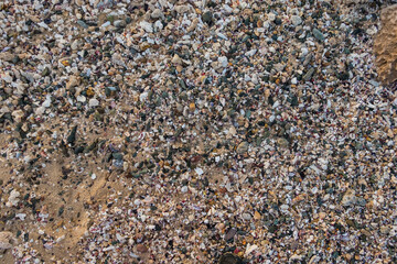 millions of small stones shells and corals at the beach on vacation
