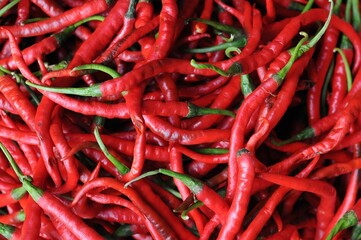 Fresh red chilies in traditional market, nature background