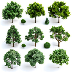 collection of trees isolated on white