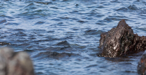 Sea ripples seen from the shore.