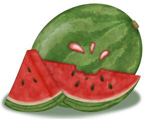 watermelon illustration set,slice of watermelon hand drawn watercolor paint. 