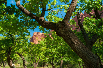 Plateaus and Orchards at Capitol Reef National Park in Utah