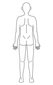 人体のイラスト、素体・裸体（背中）　白黒の線画