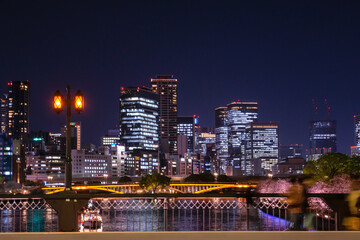 Fototapeta premium 浪速の夜桜浪速