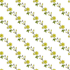 Seamless vector pattern with hand drawn Winter jasmine (Jasminum nudiflorum), ornamental plant