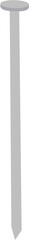 A simple light grey nail flat 2D illustartion drawing vector image