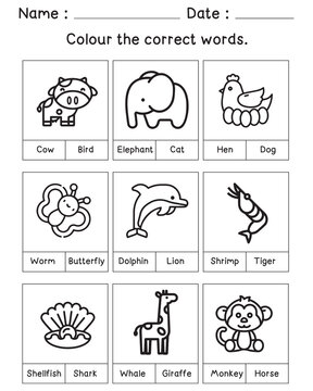 Color the worksheet and choose the correct answer.