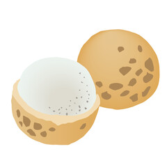 リュウガンのイラスト