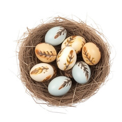 Nest with eggs isolated on transparent or white background