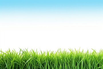 Obraz premium Fresh Green Lawn with Blue Sky Background. Nature's Meadow Landscape on White Isolated Splendor