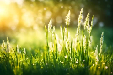  art abstract spring background or summer background with fresh grass © Eun Woo Ai