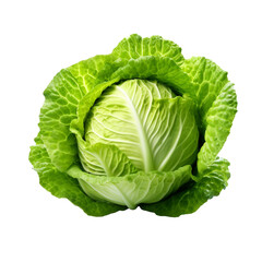 cabbage isolated on white background