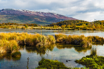 Tierra del Fuego National Park, Patagonia, Argentina