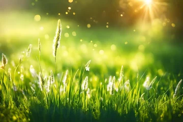 Deurstickers green grass and sun © Eun Woo Ai