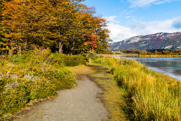 Tierra del Fuego National Park, Patagonia, Argentina
