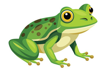 Frog Illustration Design