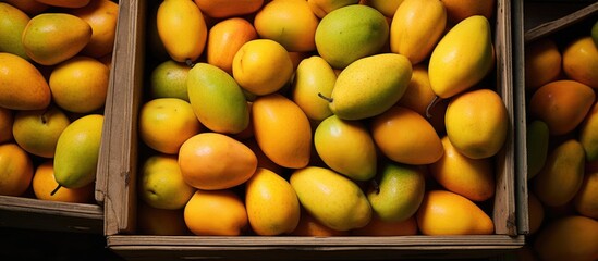 Mangoes stored in a container