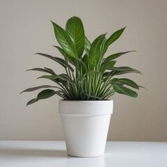 Fake plant in a pot isolated on a white background