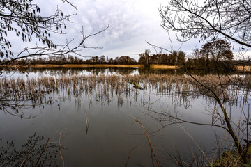Obraz premium Winterspaziergang an den Teichen bei Holscha in der Oberlausitzer Heide- und Teichlandschaft 9