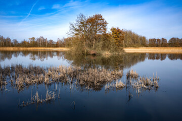 Winterspaziergang an den Teichen bei Holscha in der Oberlausitzer Heide- und Teichlandschaft 8