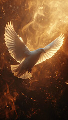 Vertical recreation of a white dove, as Holy Spirit, flying with the wings extended between flares of sunset