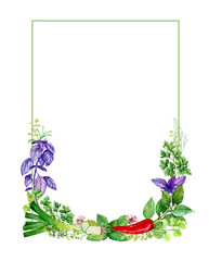 Watercolor herbs and spices. Vertical rectangular with hand painted food objects: mint, basil, rosemary, parsley, oregano, thyme, bay leaf, green onions, paprika, dill. Kitchen herbs and spices banner