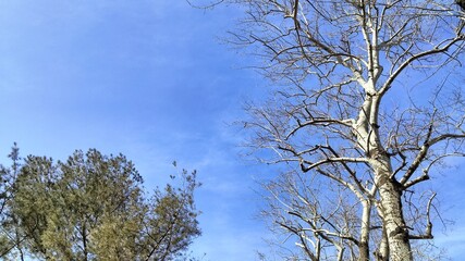 scenery of beijing, china