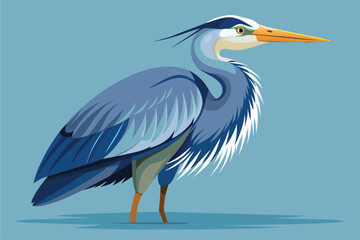 Heron Vector  Illustration Design