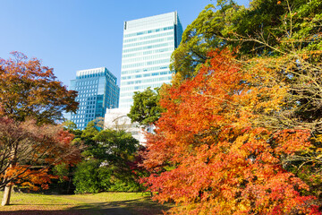 日本の風景・秋　東京都港区　旧芝離宮恩賜庭園 の紅葉