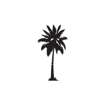 Black and white palm tree vector illustration | Palm tree silhouette 