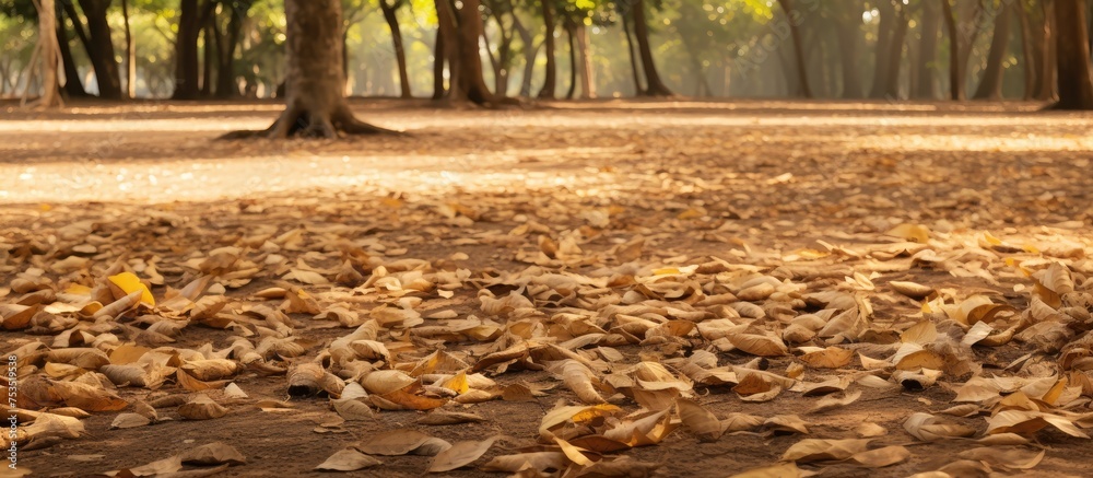 Poster autumn symphony: rich array of fallen leaves forming a colorful tapestry on the ground