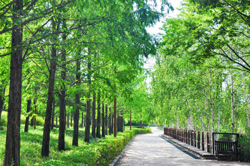 韓国ソウルの漢河の中洲の一つ、仙遊島公園 - obrazy, fototapety, plakaty