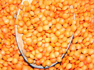 red lentils on a wooden spoon