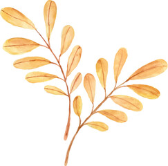 Watercolor autumn leaves