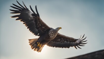 Obraz premium view of photo bald eagle perched majestically on tree branch
