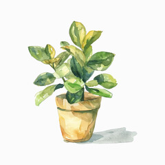 Plants planted in watercolor pots on white background