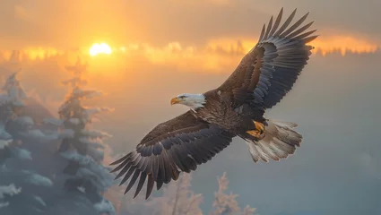  Majestic eagles soaring over mountain ranges at sunrise, capturing the essence of freedom and wild beauty © akarawit