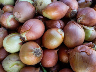 onions at the market, onion, food, vegetable, onions, fresh, organic, healthy, market, ingredient, red, natural, vegetables, agriculture, bulb, nature, vegetarian, raw, nutrition, closeup, brown, whit