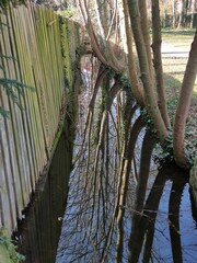 Halberstadt - Die Natur erwacht