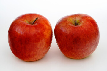 新鮮な果物　リンゴ　恋桜　奥州ロマン　岩手県産