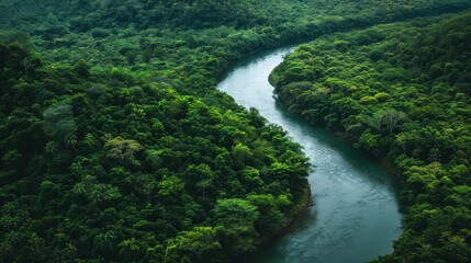 Fototapeta na wymiar Winding river through lush forest background
