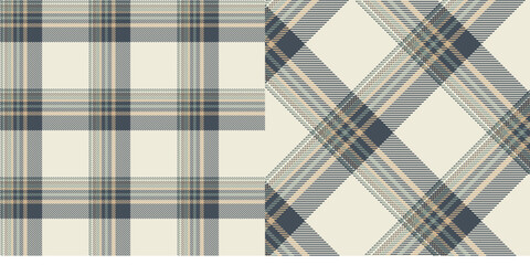 Vector checkered pattern or plaid pattern . Tartan, textured seamless twill for flannel shirts, duvet covers, other autumn winter textile mills. Vector Format