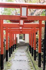 Torii gate on a way to Tanukidanisan Fudoin in Kyoto, Japan