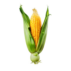 Fresh Harvest: Front View of Corn Vegetable Isolated on Transparent Background